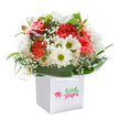 Bringing to mind a stroll through Nunhead's leafy lanes in early spring, this joyful bouquet is artfully arranged in a crisp white gift bag-a signature of care from Nunhead's local florists. The bouquet bursts with coral and crimson carnations, each petal ruffled to perfection, exuding a gentle fragrance that hints at celebration and togetherness. Playful white daisies rest throughout, their sun-bright centres radiating cheer, recalling the wildflowers along nearby Nunhead Green. Wisps of cloudlike baby's breath add an airy softness that dances above the foliage, while a cluster of subtle purple-tinged buds invites anticipation for blooms yet to open. Cradling the bouquet are glossy, deep green leaves that unfurl around the base like the embrace of Nunhead's abundant greenery. The bouquet's full, rounded form is thoughtfully set in a pristine square white gift bag, complete with elegant ribbon handles-ready to be gifted as a burst of cheer for birthdays, new beginnings, or heartfelt thank-yous. Against a pure white background, the vibrant colours and lively composition capture the unique art of Nunhead floristry, ensuring any recipient feels cherished by a little piece of their own neighbourhood.